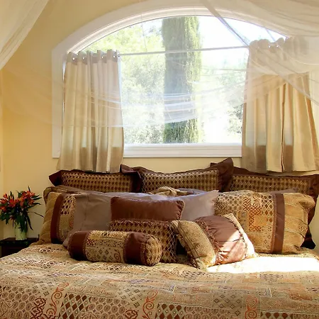 Bella Vista Bed And Breakfast-2